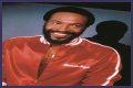 Eldergays, tell me about when Marvin Gaye was murdered by his father.